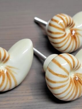 Ceramic Nautilus Shell Drawer Knobs - Cream & Tan